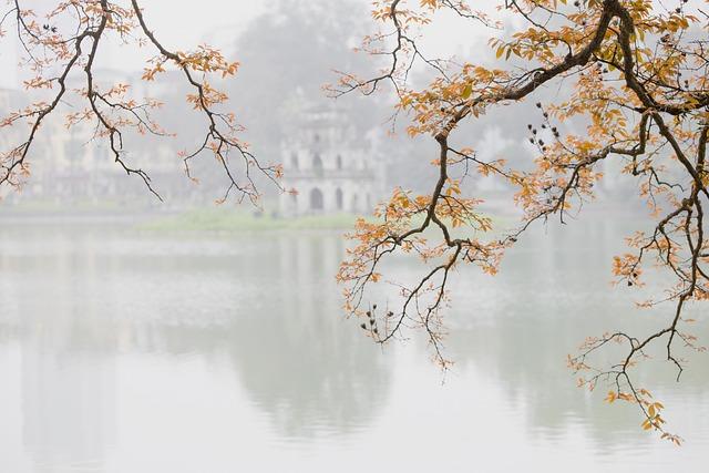 Kolik Stojí Kešu Ořechy ve Vietnamu? Cenový Průvodce