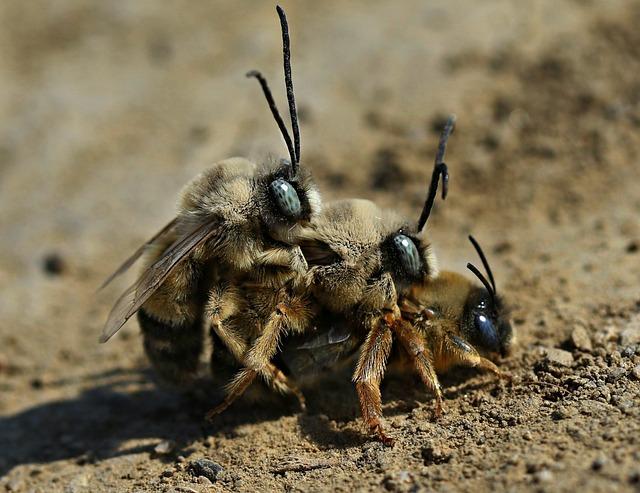 Tipy na párování s nápoji a doporučení k dochucení