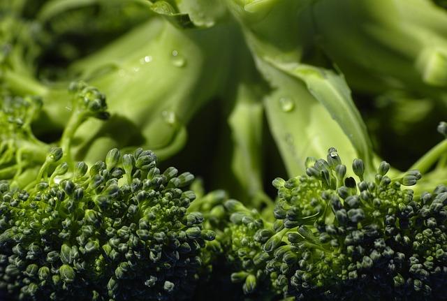 Zdravotní ⁢benefity vegetariánské varianty klasického jídla