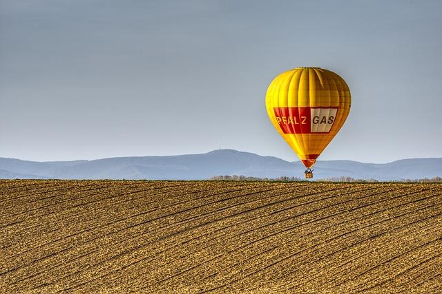 Příjemné prostředí a atmosféra vegetariánských podniků