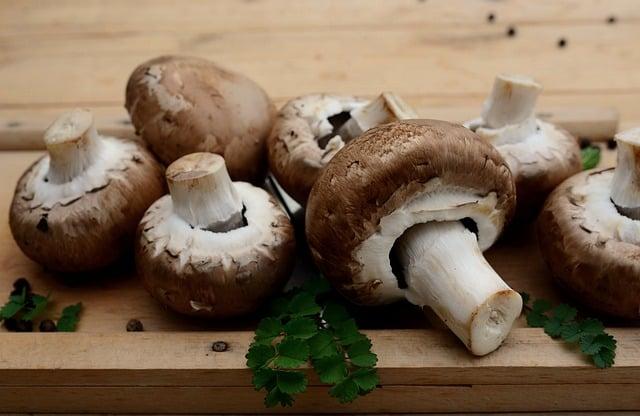 Jak servírovat a‌ prezentovat ⁢vegetariánský stroganov jako profesionál